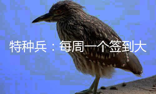 特种兵：每周一个签到大礼包