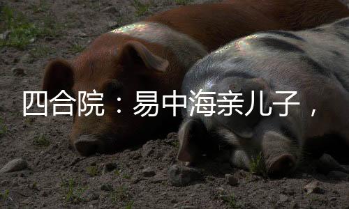 四合院：易中海亲儿子，军工进部