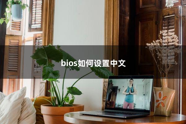 bios如何设置中文