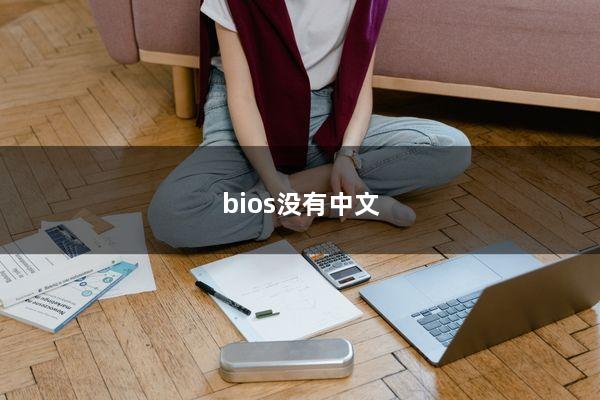 bios没有中文