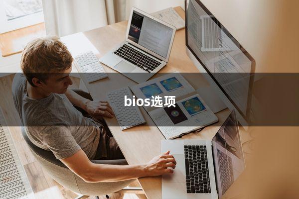 bios选项