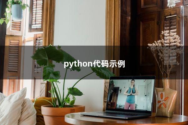 python代码示例
