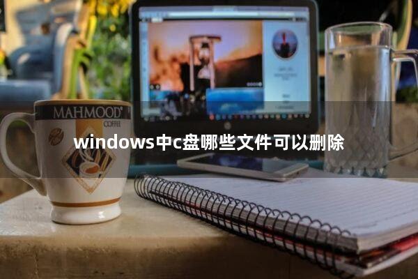 windows中c盘哪些文件可以删除
