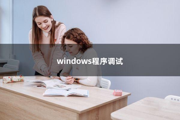 windows程序调试