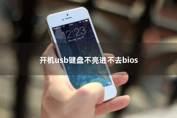 开机usb键盘不亮进不去bios