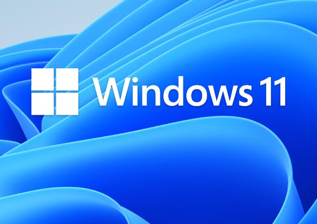 windows微软11