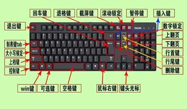 手提电脑键盘功能介绍(手提电脑键盘功能基础知识)