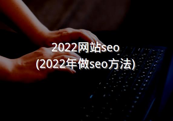 2022网站seo (2022年做seo方法)