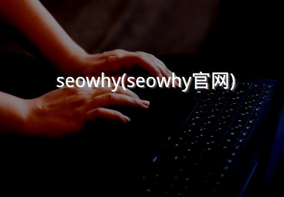seowhy(seowhy官网)
