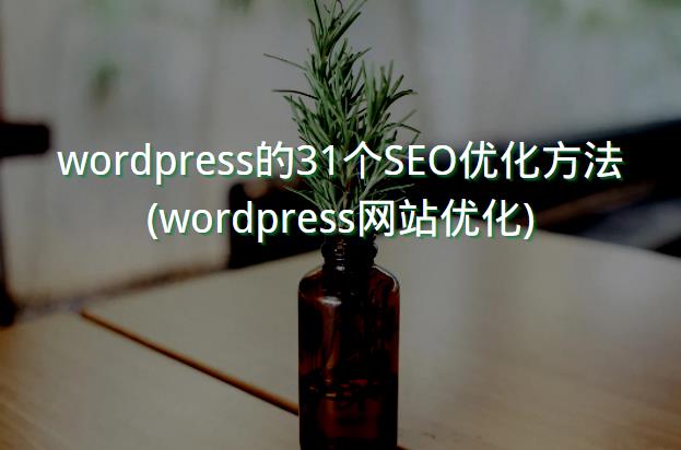 wordpress的31个SEO优化方法 (wordpress网站优化)