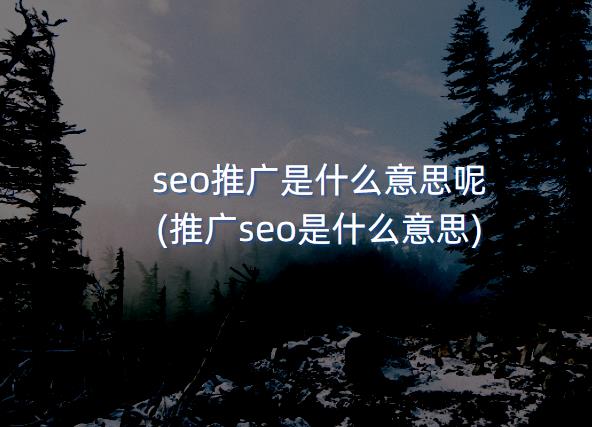 seo推广是什么意思呢 (推广seo是什么意思)