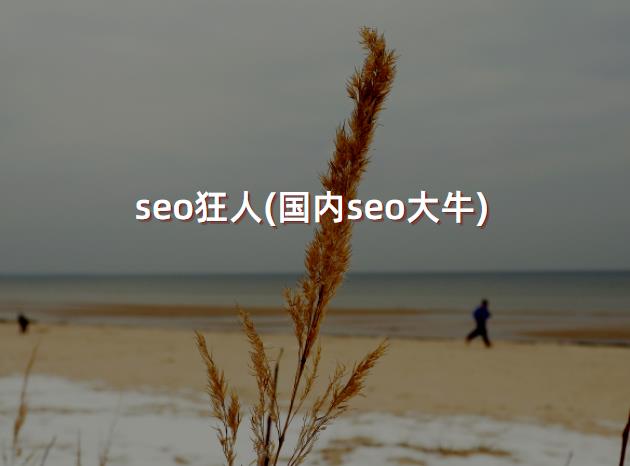 seo狂人(国内seo大牛)