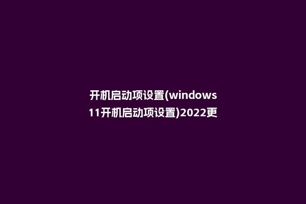 开机启动项设置(windows11开机启动项设置)2022更新