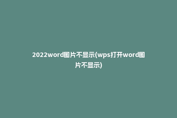 2022word图片不显示(wps打开word图片不显示)