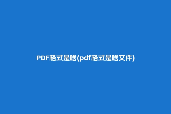 PDF格式是啥(pdf格式是啥文件)