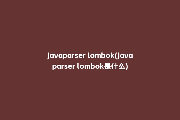 javaparser lombok(javaparser lombok是什么)