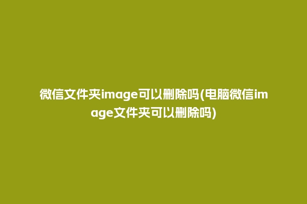 微信文件夹image可以删除吗(电脑微信image文件夹可以删除吗)