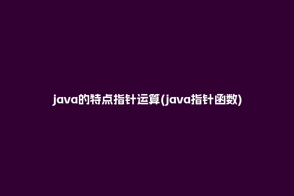 java的特点指针运算(java指针函数)