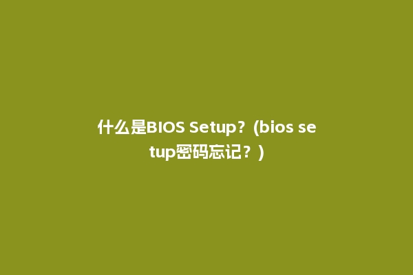 什么是BIOS Setup？(bios setup密码忘记？)