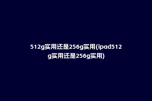 512g实用还是256g实用(ipad512g实用还是256g实用)