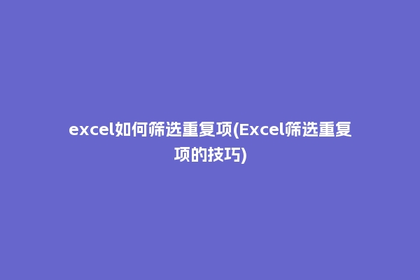 excel如何筛选重复项(Excel筛选重复项的技巧)