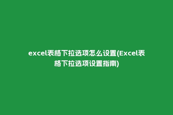 excel表格下拉选项怎么设置(Excel表格下拉选项设置指南)