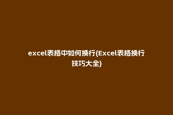 excel表格中如何换行(Excel表格换行技巧大全)