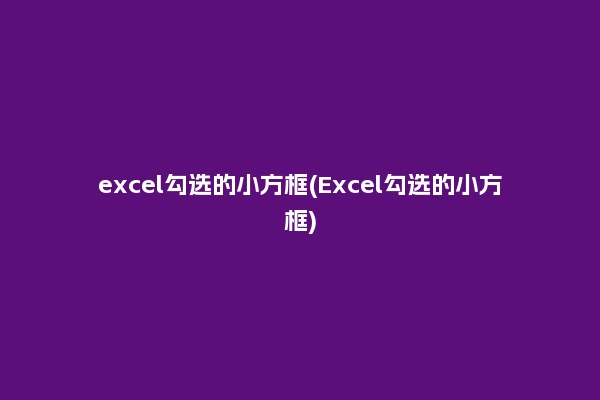 excel勾选的小方框(Excel勾选的小方框)