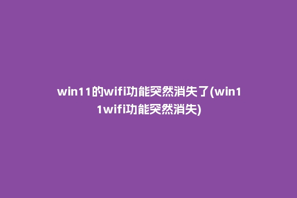 win11的wifi功能突然消失了(win11wifi功能突然消失)