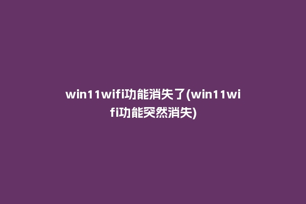 win11wifi功能消失了(win11wifi功能突然消失)