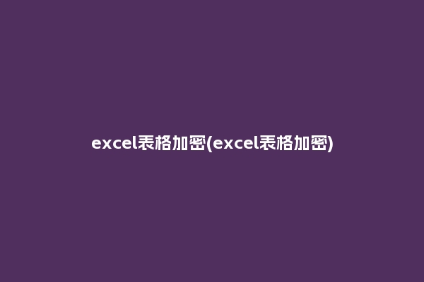 excel表格加密(excel表格加密)