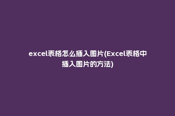excel表格怎么插入图片(Excel表格中插入图片的方法)