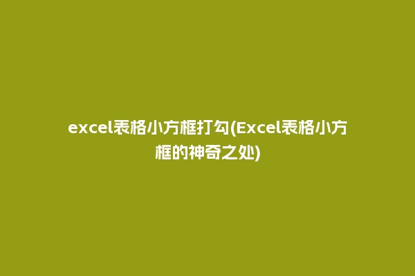 excel表格小方框打勾(Excel表格小方框的神奇之处)