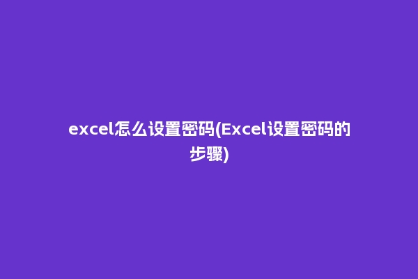 excel怎么设置密码(Excel设置密码的步骤)