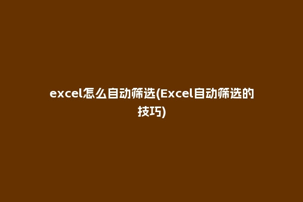 excel怎么自动筛选(Excel自动筛选的技巧)