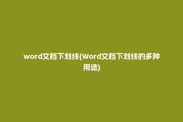 word文档下划线(Word文档下划线的多种用途)