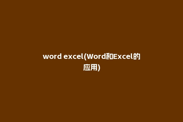 word excel(Word和Excel的应用)