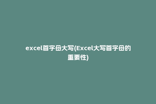 excel首字母大写(Excel大写首字母的重要性)