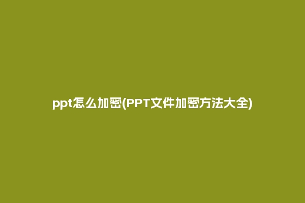 ppt怎么加密(PPT文件加密方法大全)