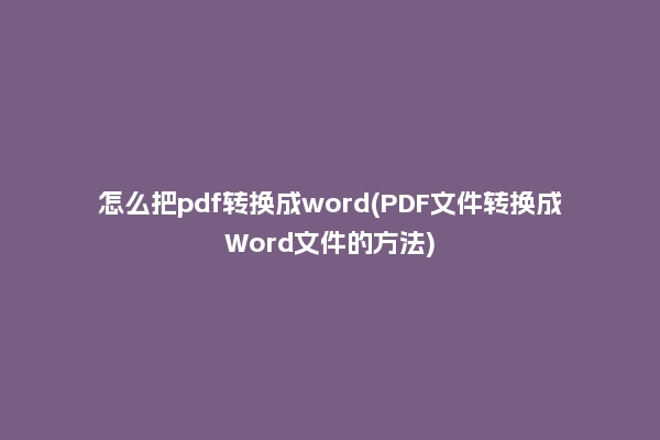 怎么把pdf转换成word(PDF文件转换成Word文件的方法)